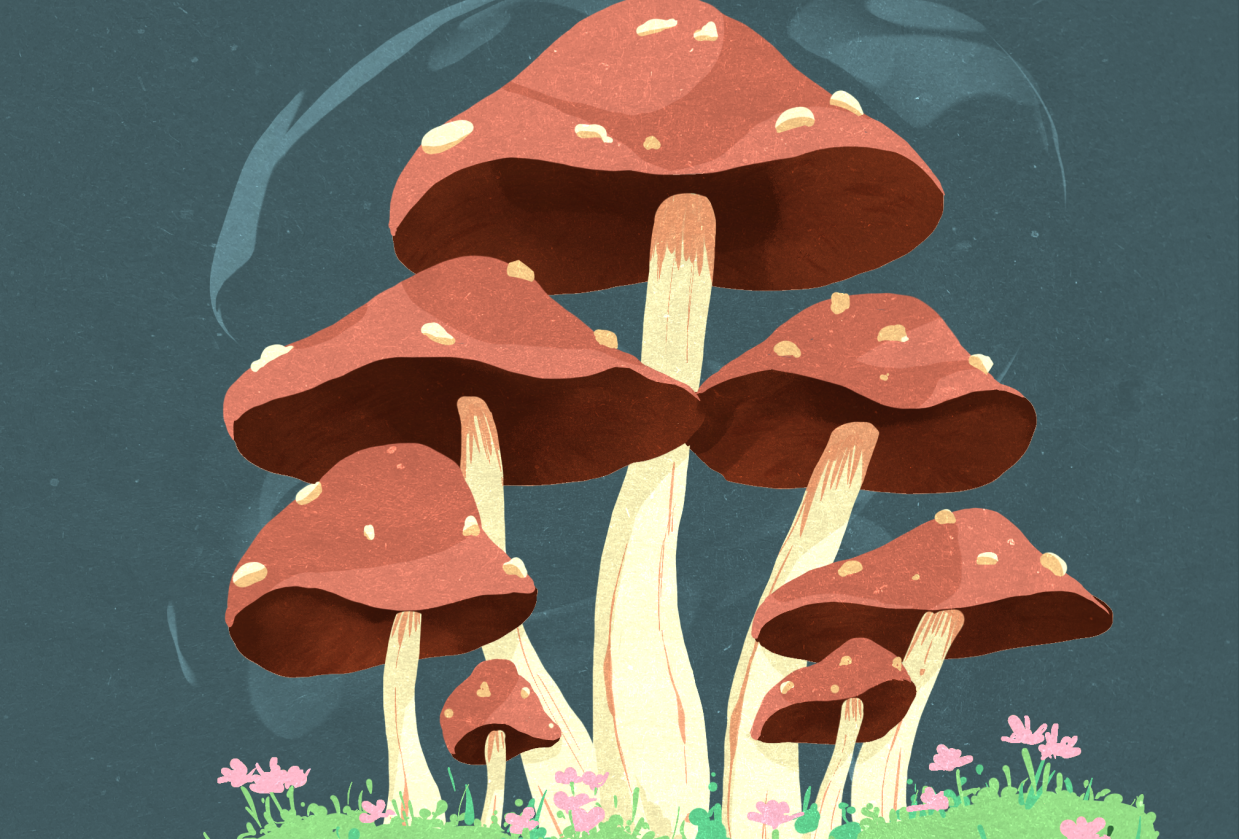 Mushroom family - student project