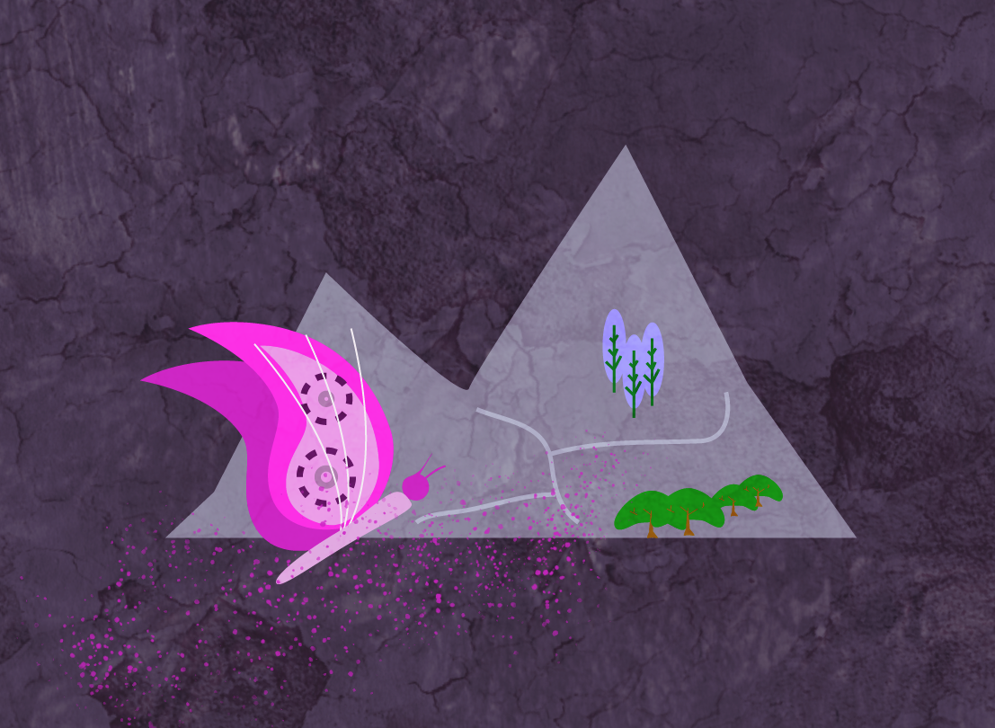 more-projects-from-class-img