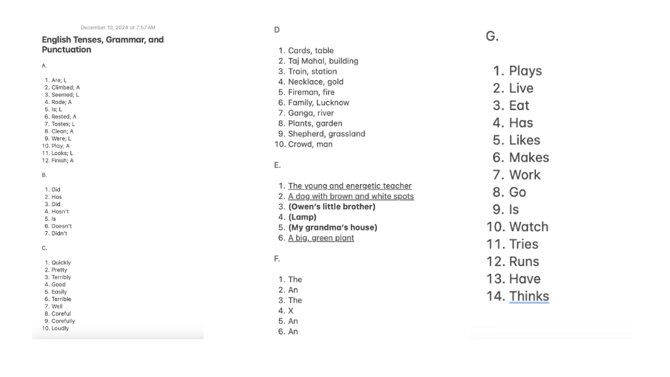 English Grammar, Tenses, and Punctuation - student project
