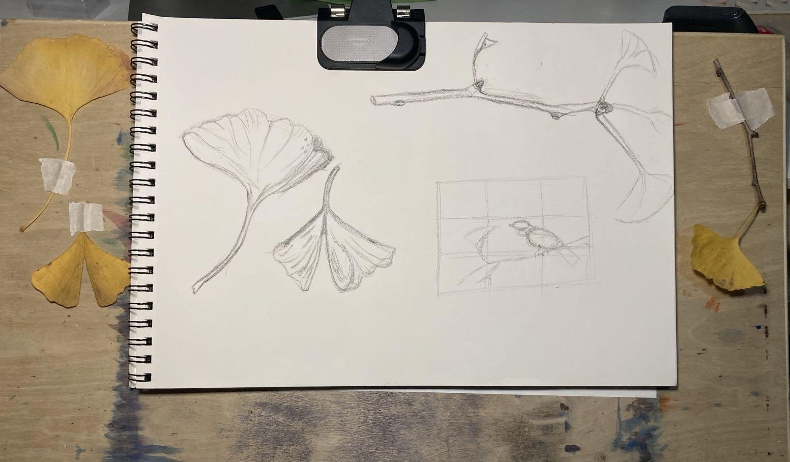 more-projects-from-class-img