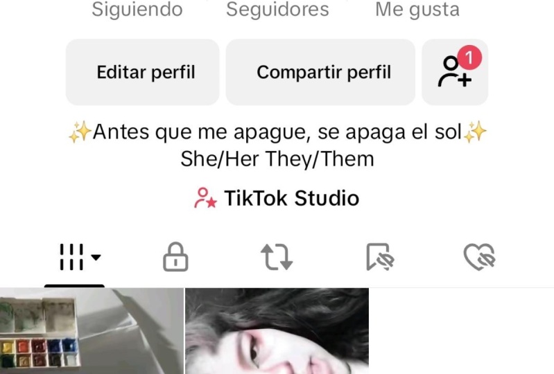 Mi perfil artístico