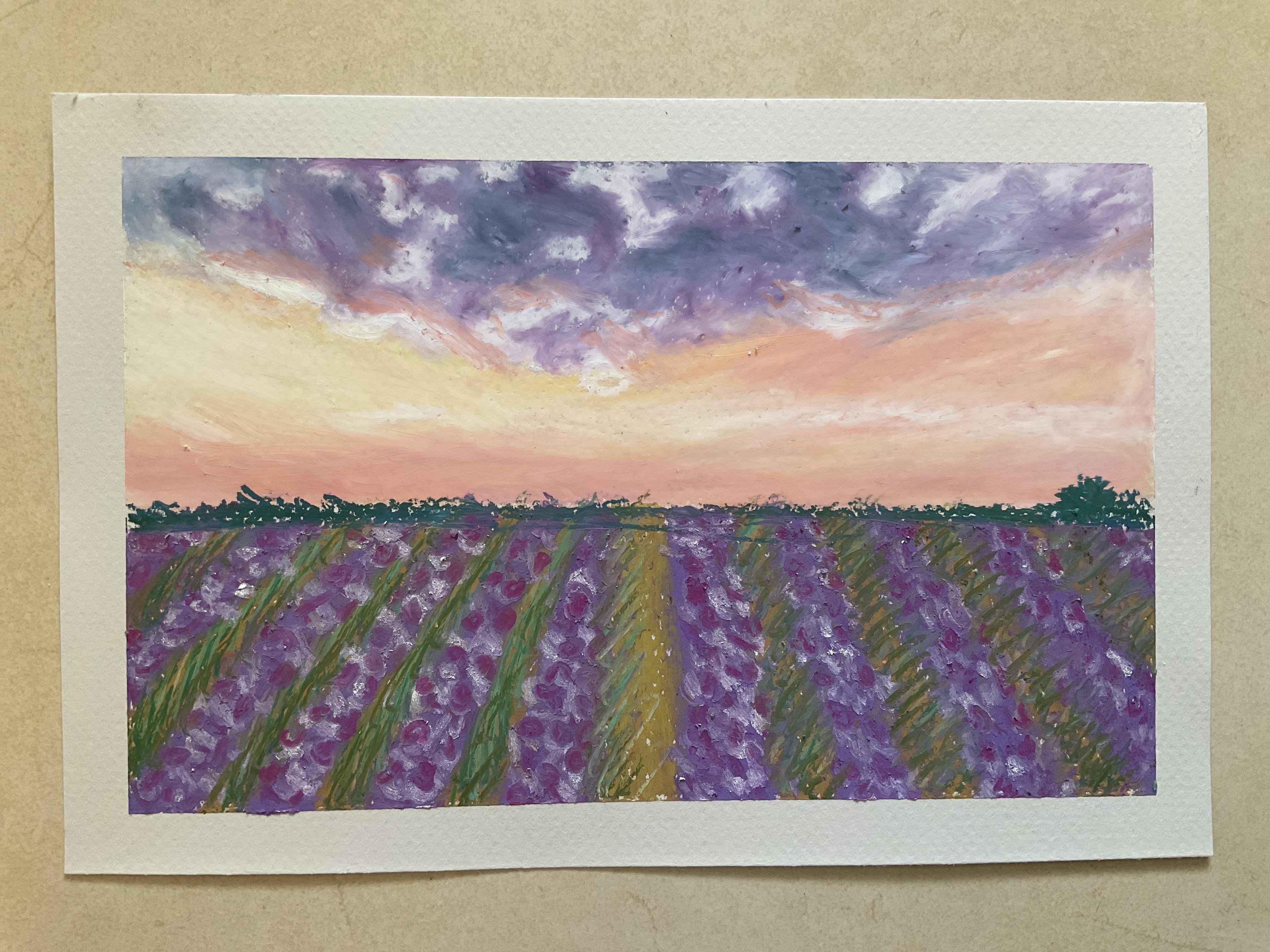Lavender fields in Oil Pastels - student project