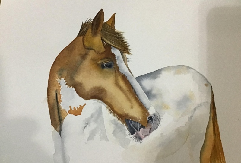 Horse