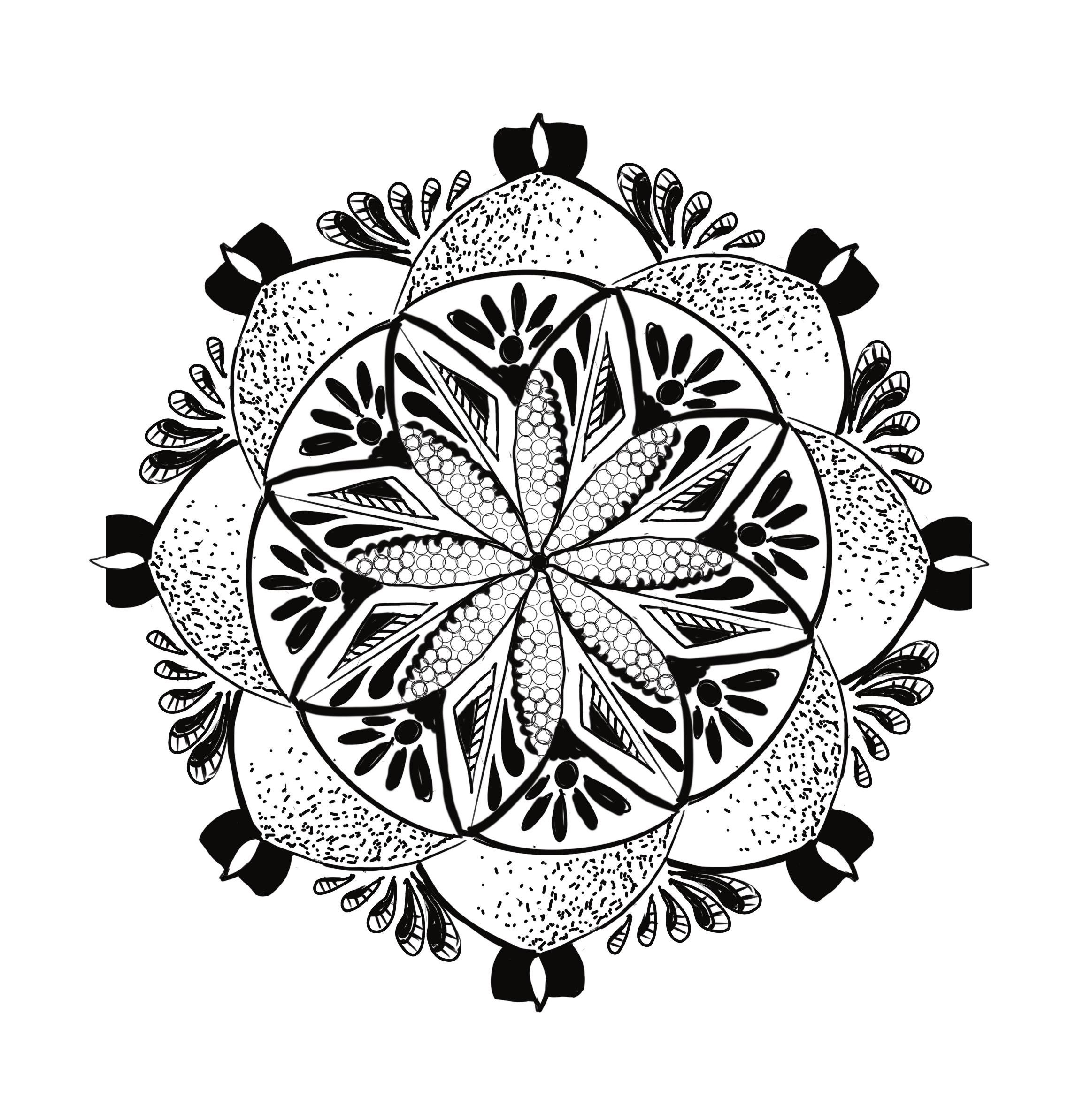 more-projects-from-class-img