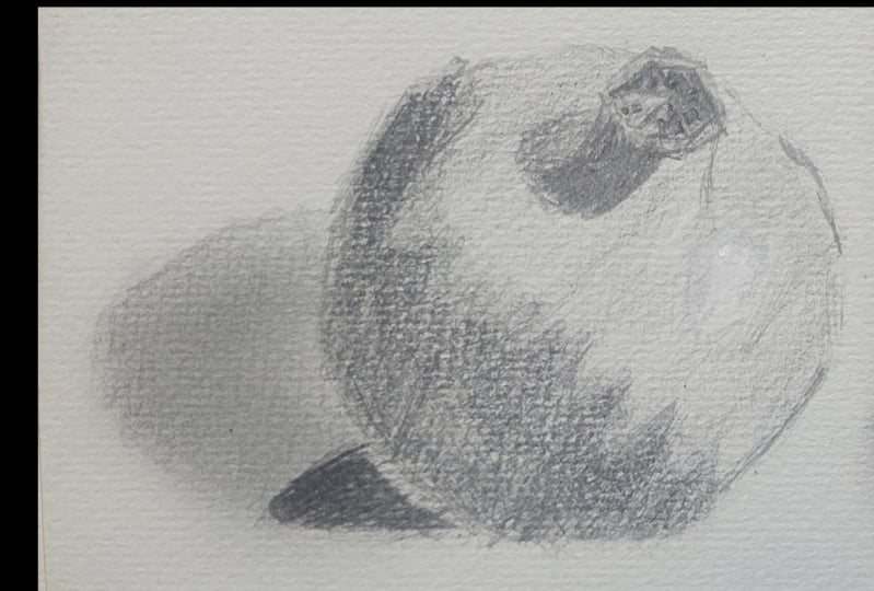 Pomegranade