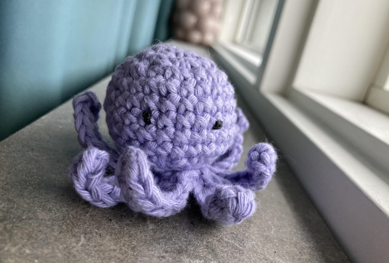 Ludvig the little octopus - student project