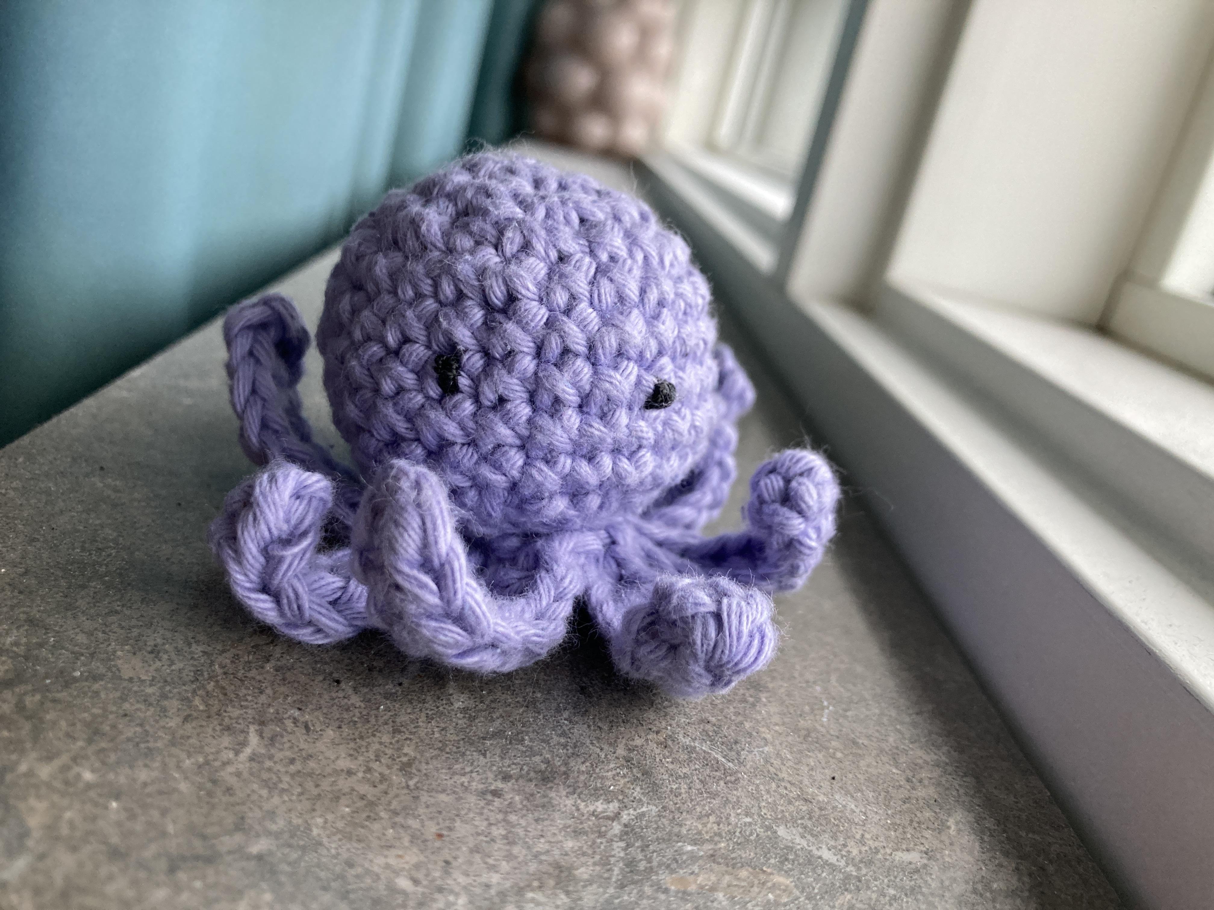 Ludvig the little octopus - student project
