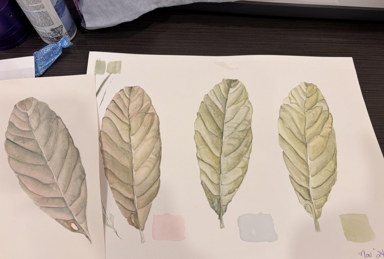 Realistic Leaf - student project