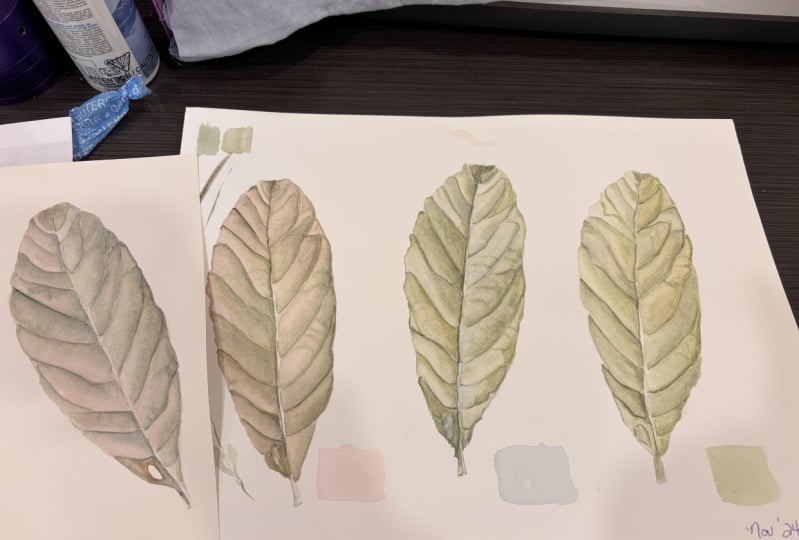 Realistic Leaf