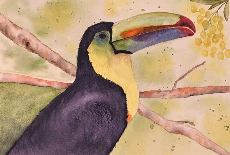 Toucan tutorial