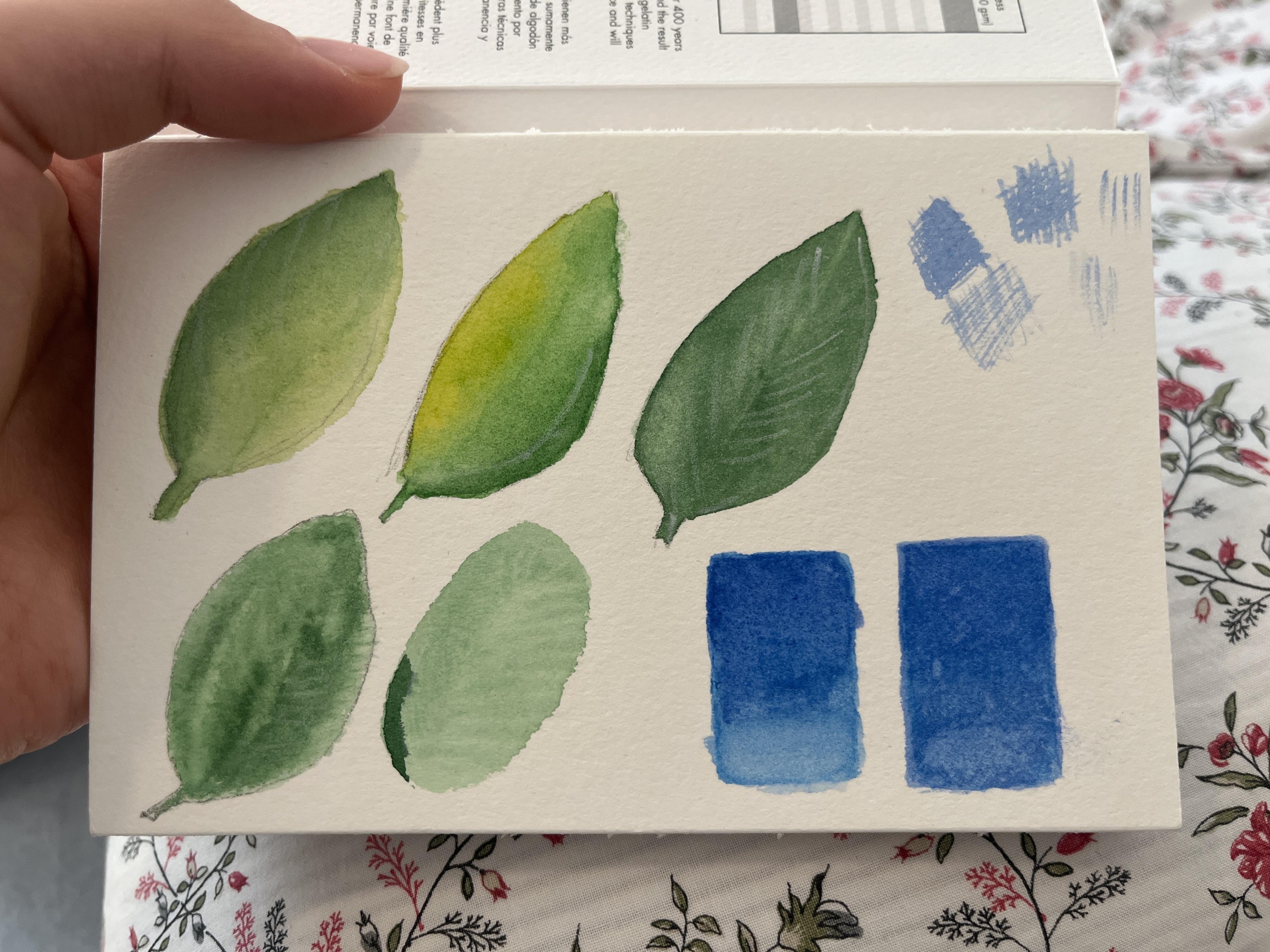My scribbles - student project