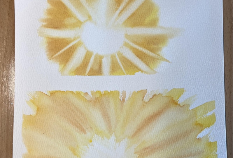 Sun Rays