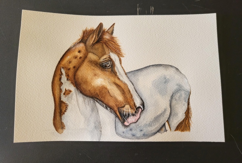 Horse