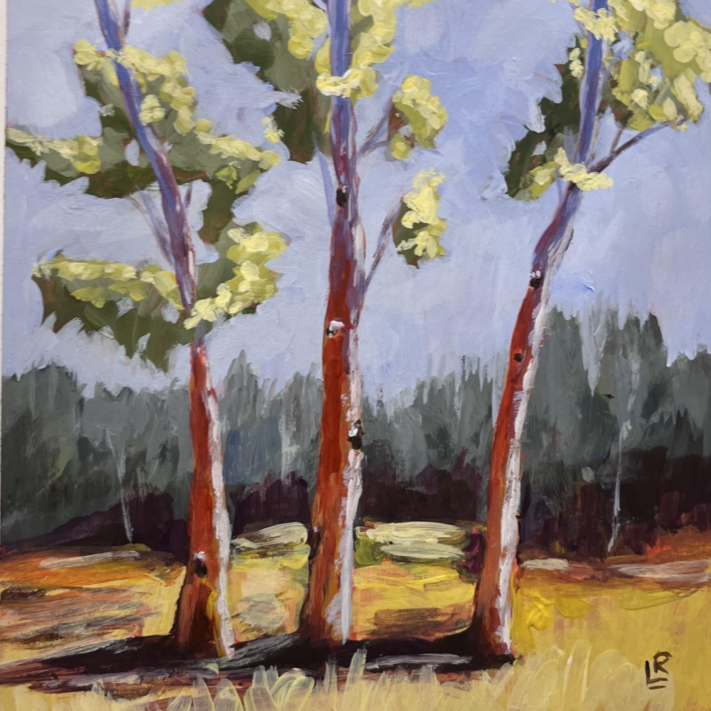 more-projects-from-class-img