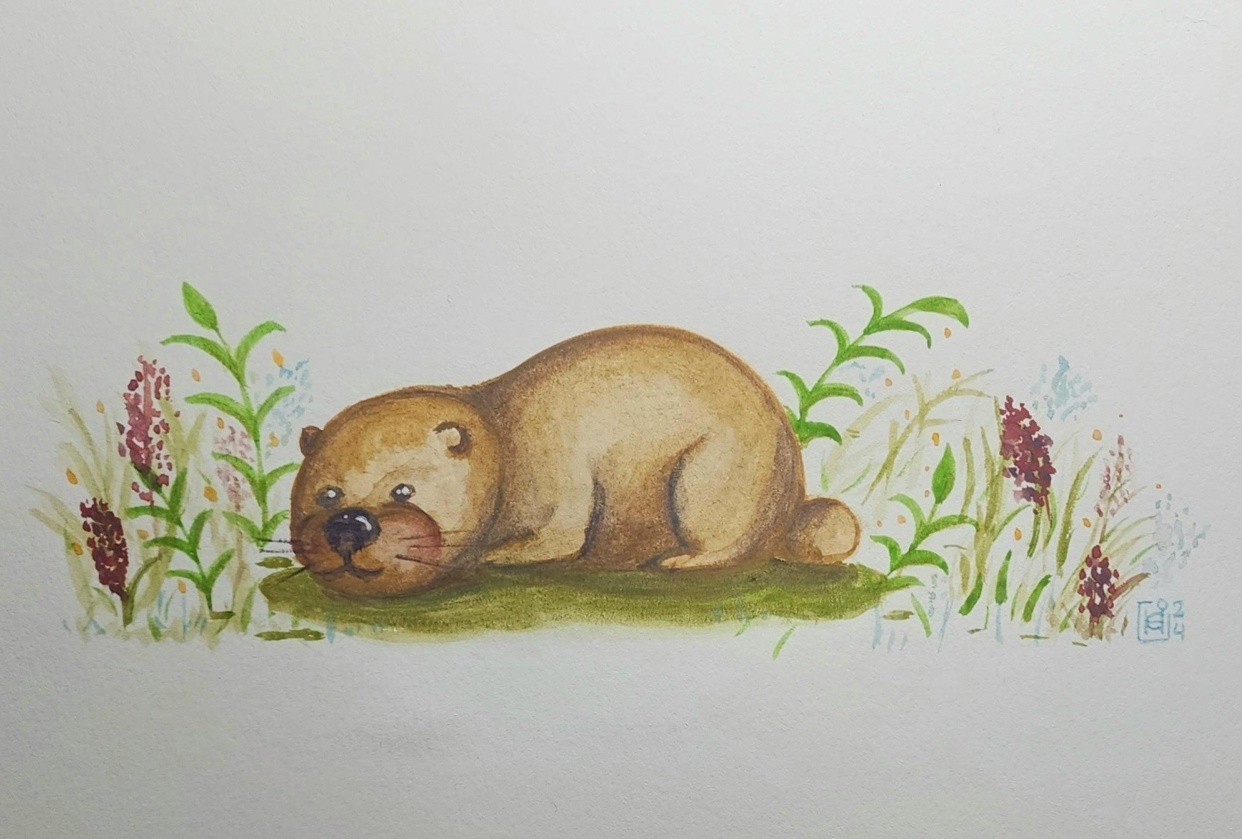 Capybara bear beaver mystery creature - student project