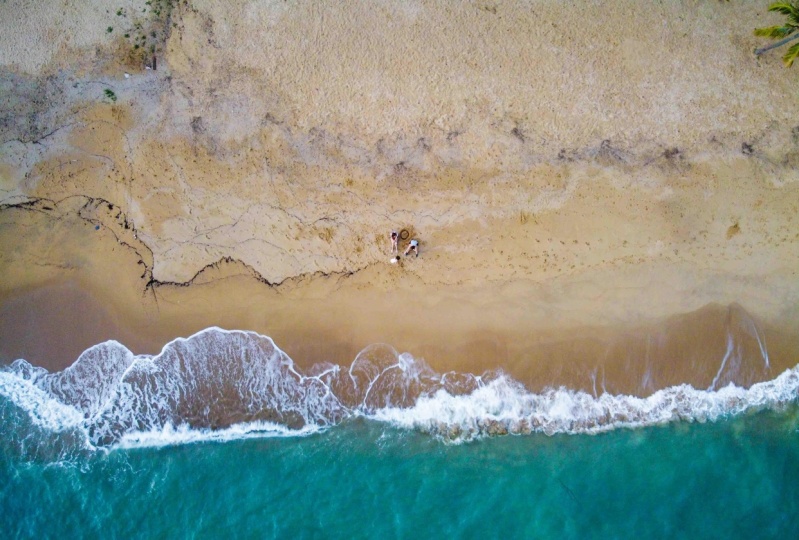 Beach Day