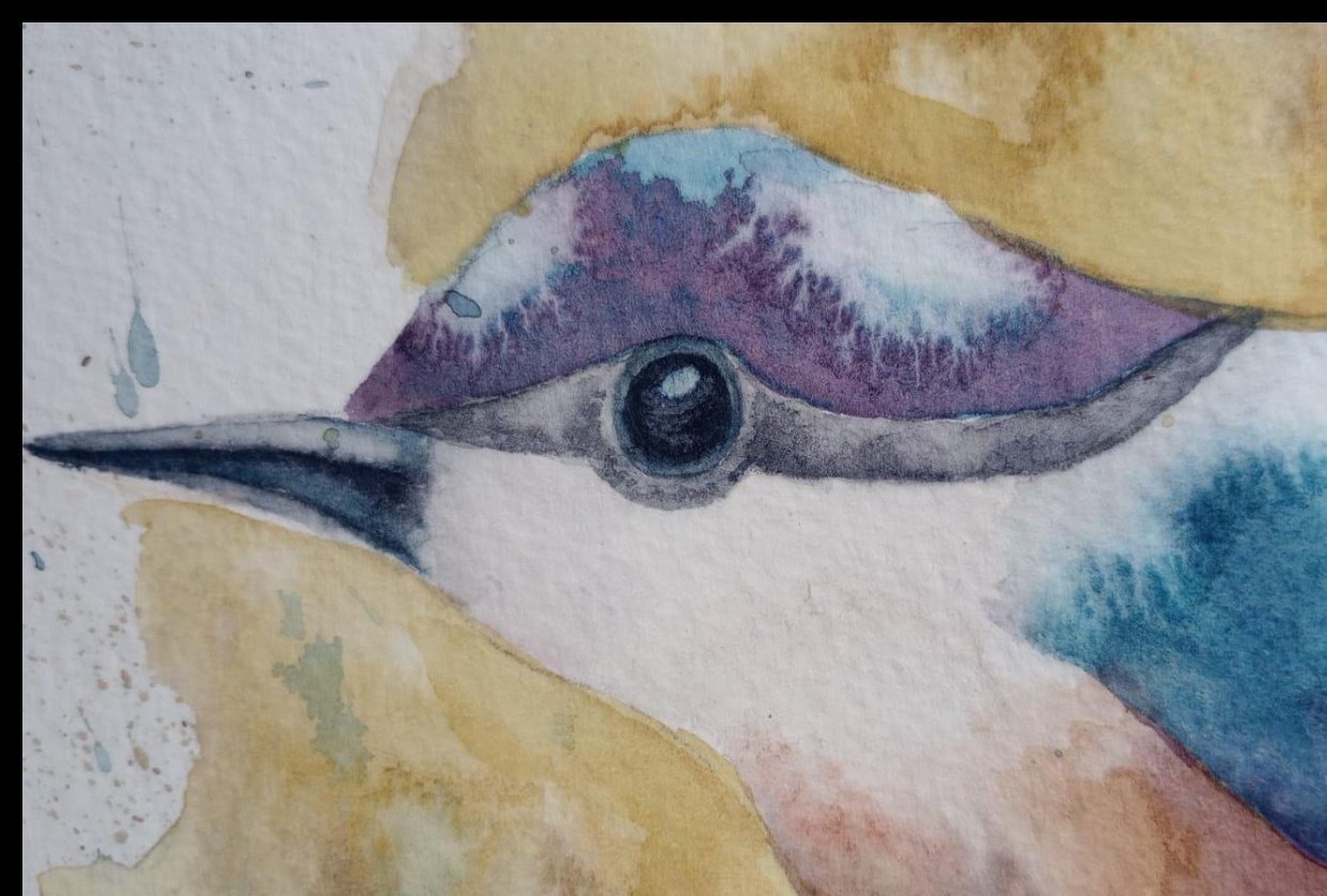 Pássaro Simples em Aquarela - student project