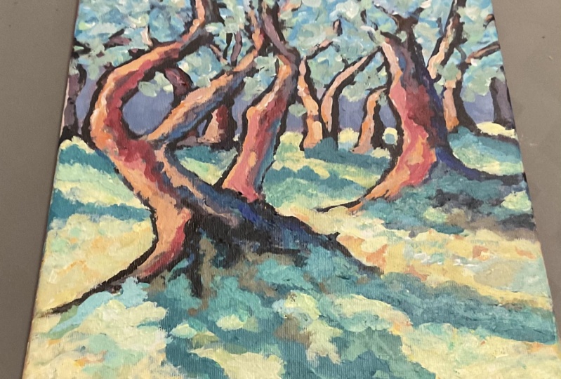 Olive Trees by Susan Zeller