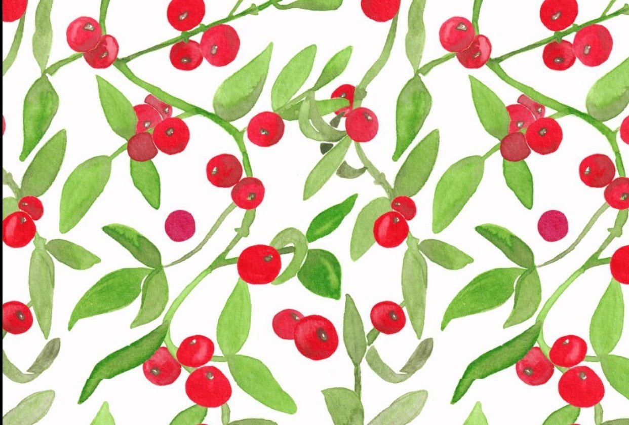Mistelzweig mit Beeren - student project