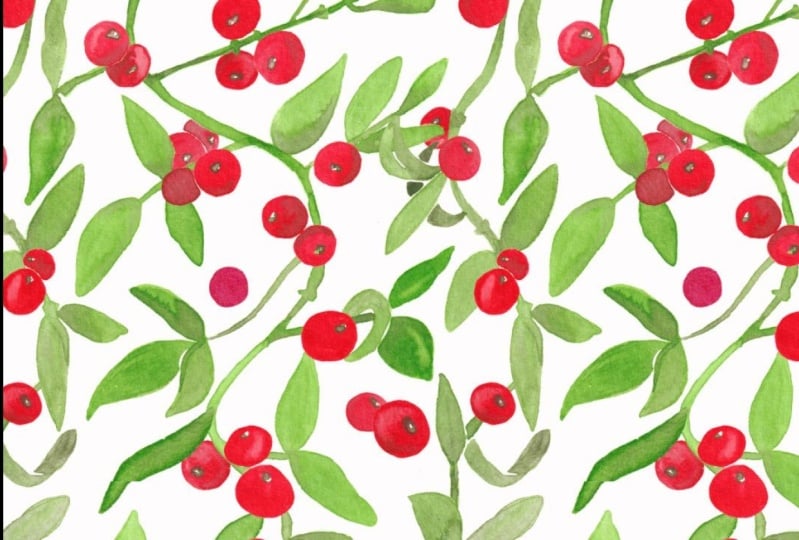 Mistelzweig mit Beeren