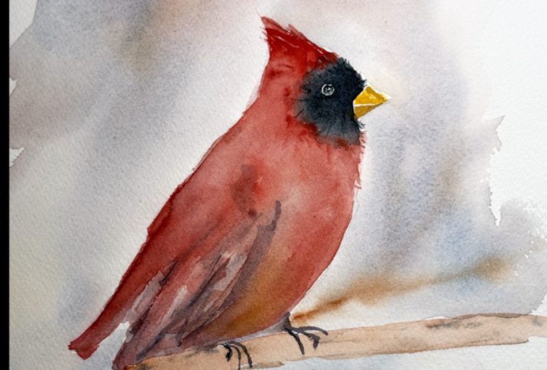 Winter Cardinal