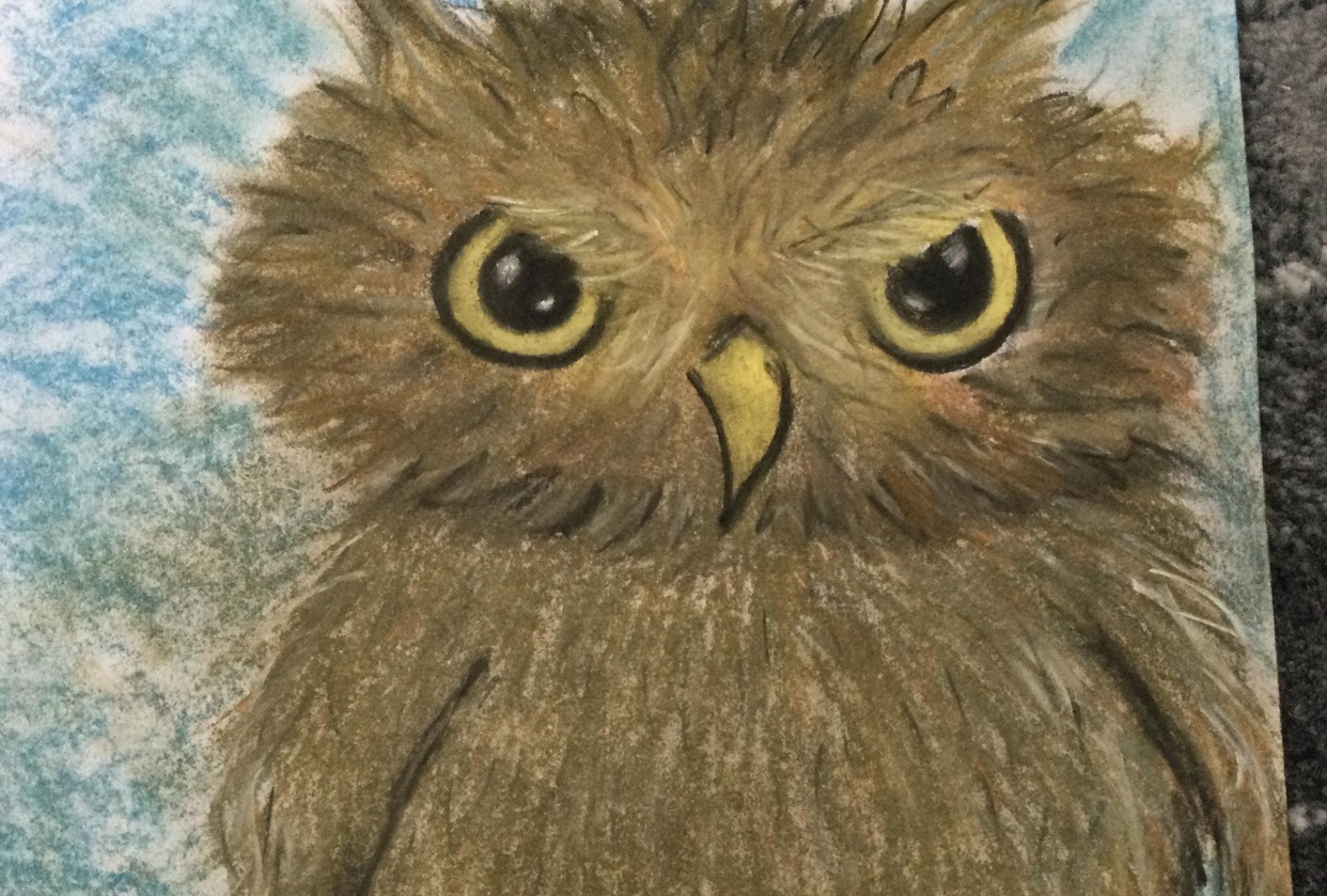 Hoo hoo said I’m an angry bird - student project