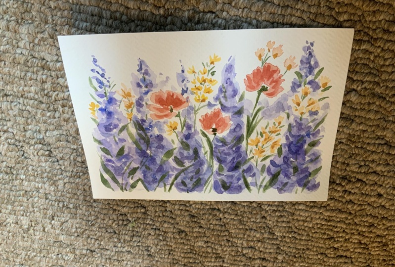 Rainbow Meadow