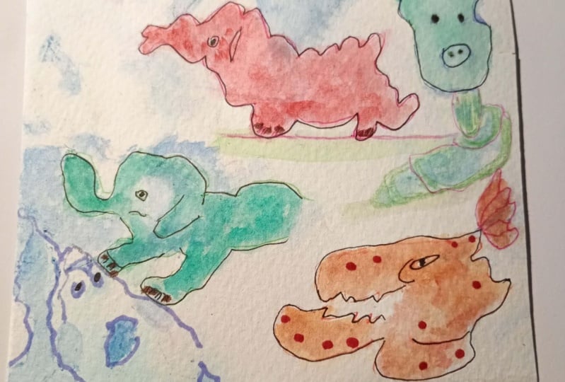 Draw animals as I see them