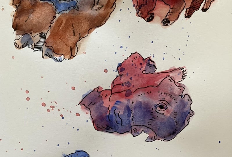 Creatures