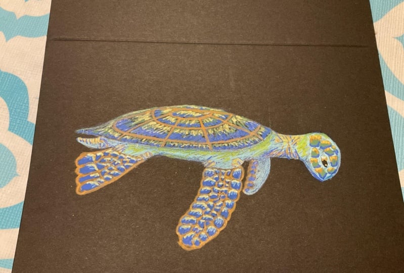 Sea turtle