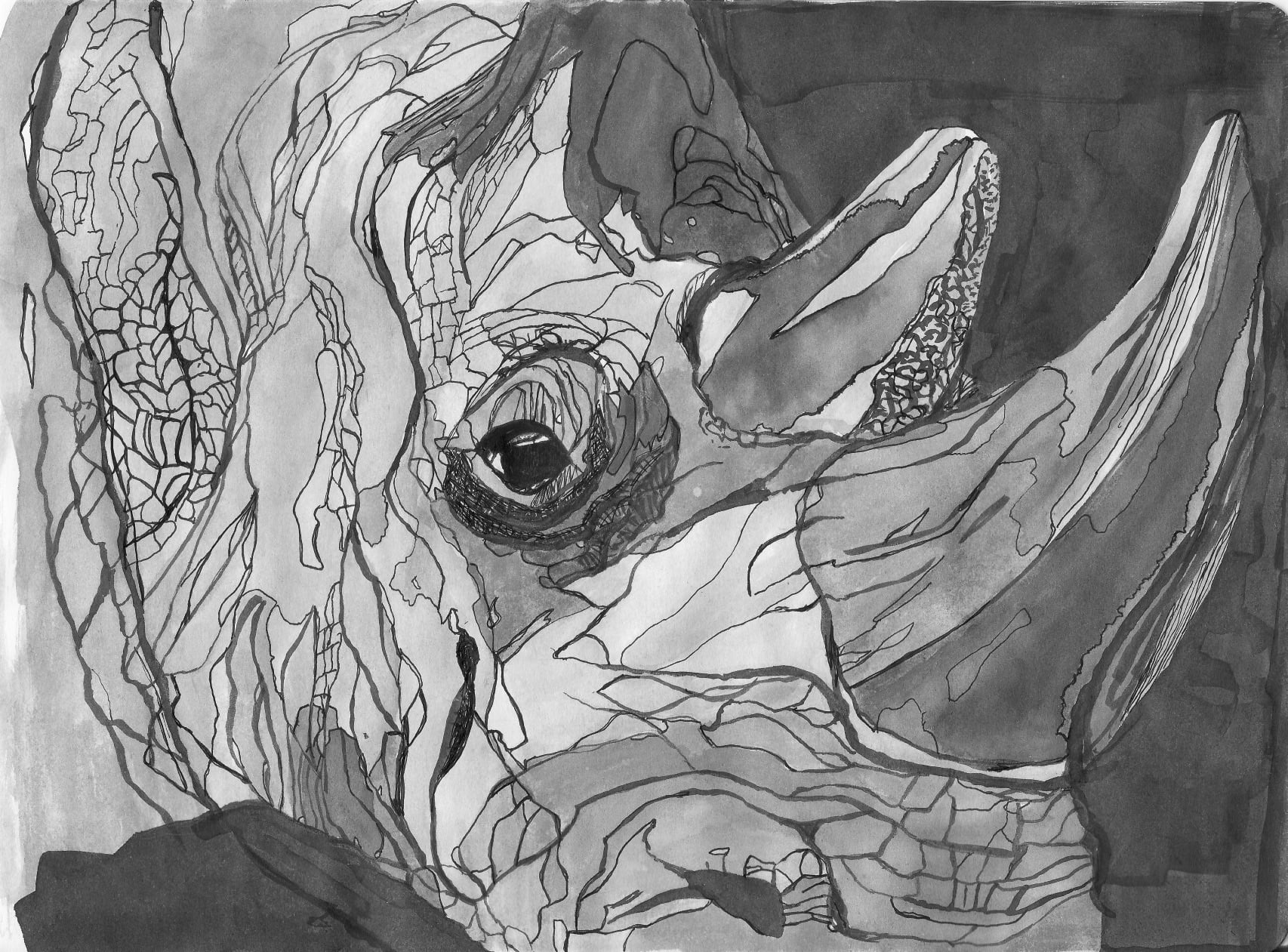 Rhinoceros - student project