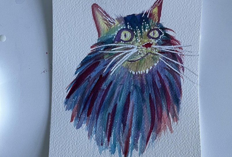 Galaxy ‘OpalCat’