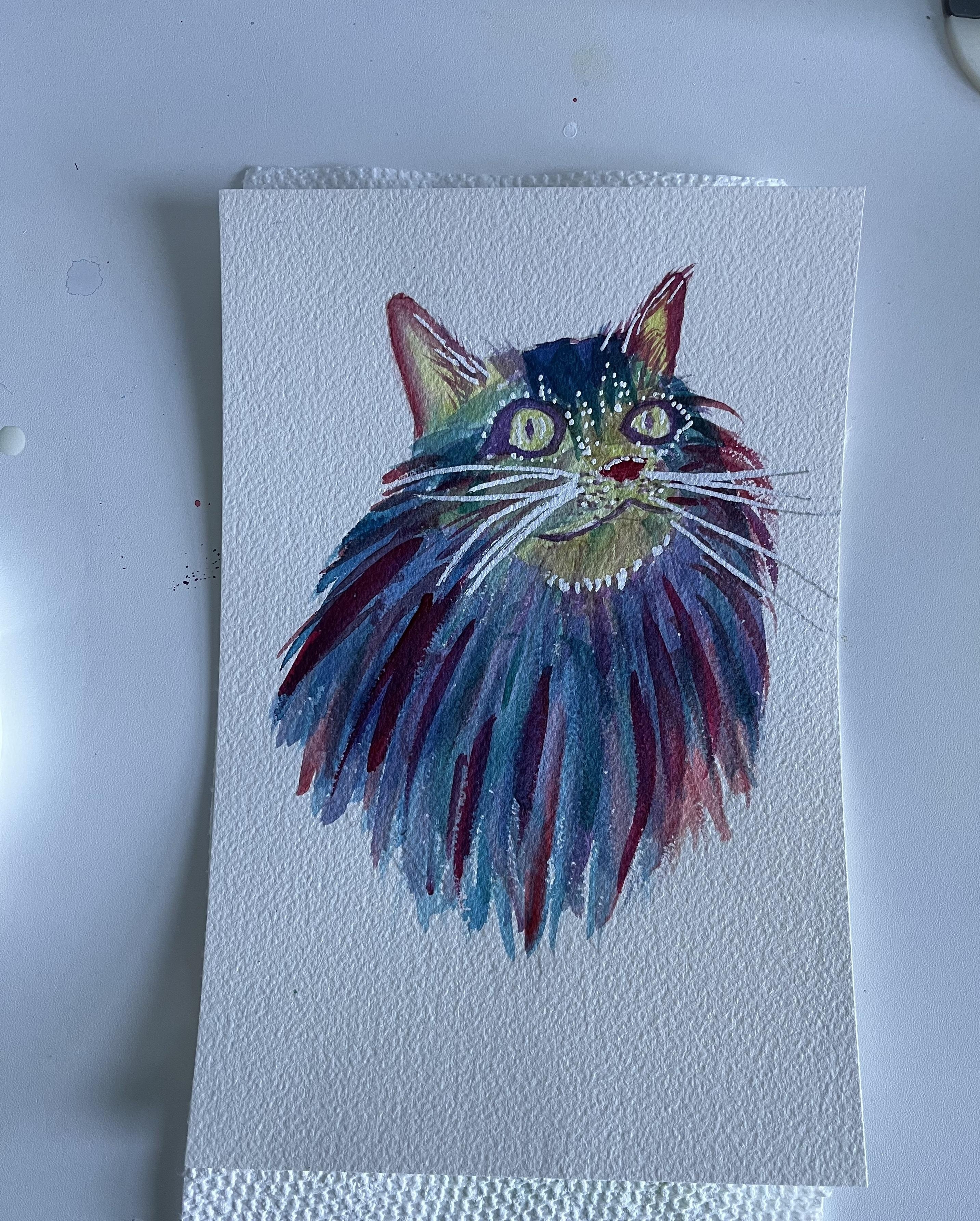 Galaxy ‘OpalCat’ - student project