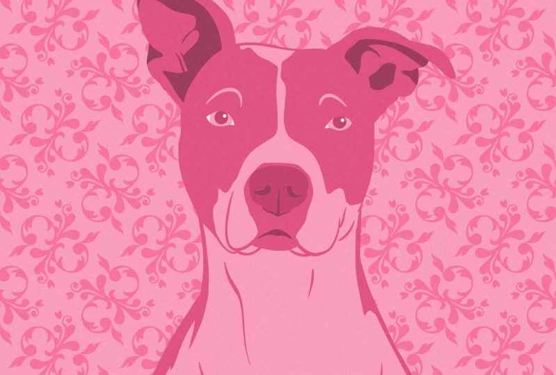 Pink Pit Bull