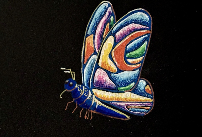 Posca Butterfly