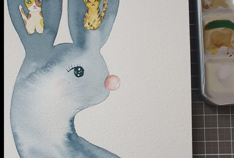 rabbit