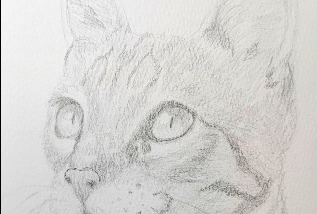 cat 3rd attempt - student project