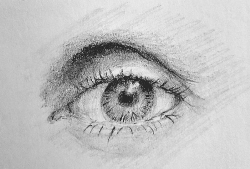 Eye