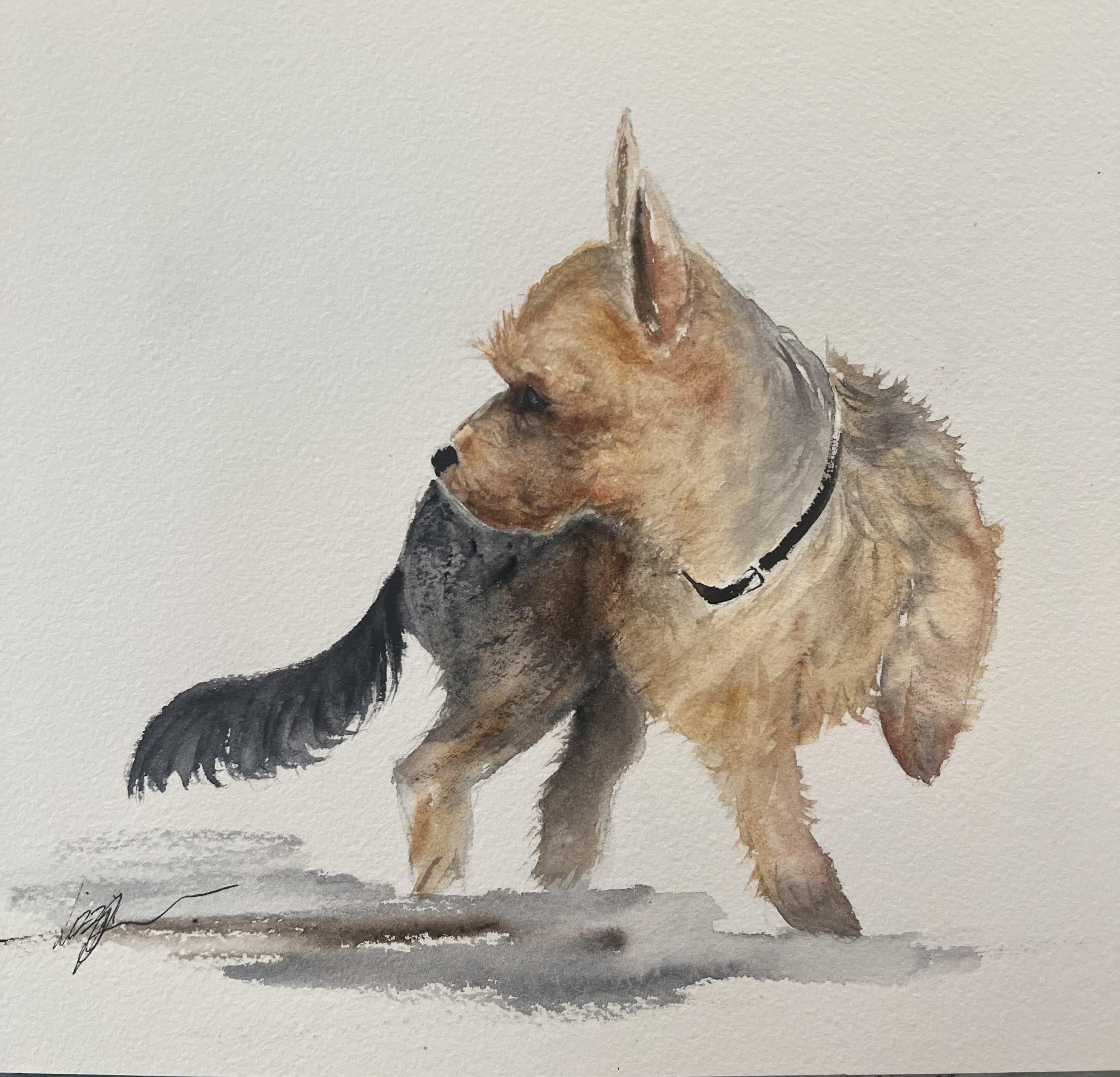 Yorky fun - student project