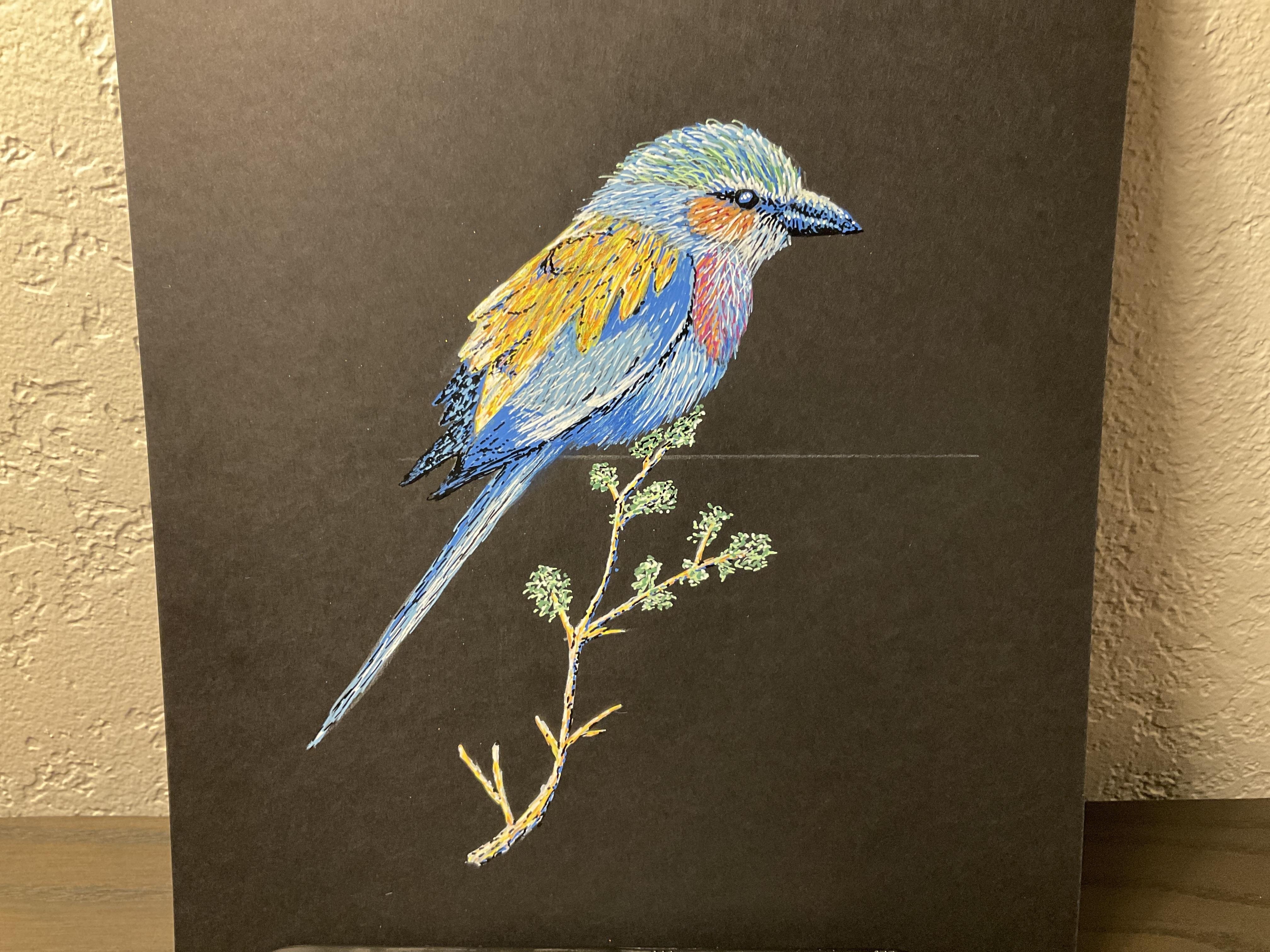 more-projects-from-class-img