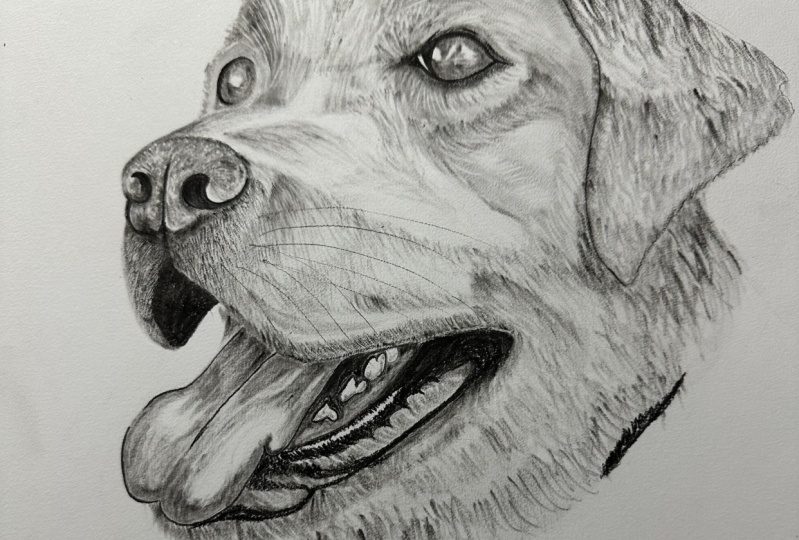 Lab