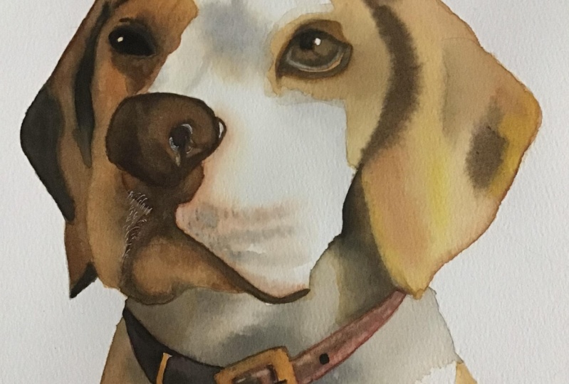 Realistic dog in watercolour