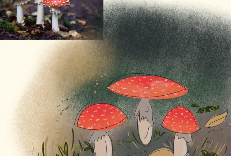 Mushroom