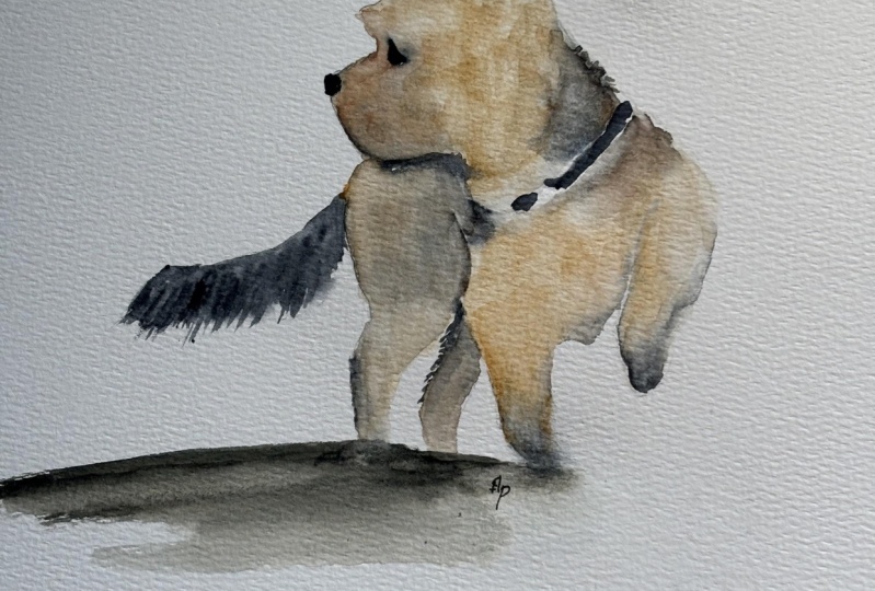 Yorkshire Terrier watercolour with Nadine Dudek