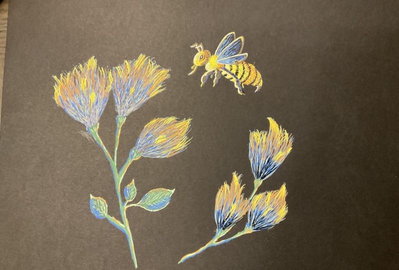 Successful bee