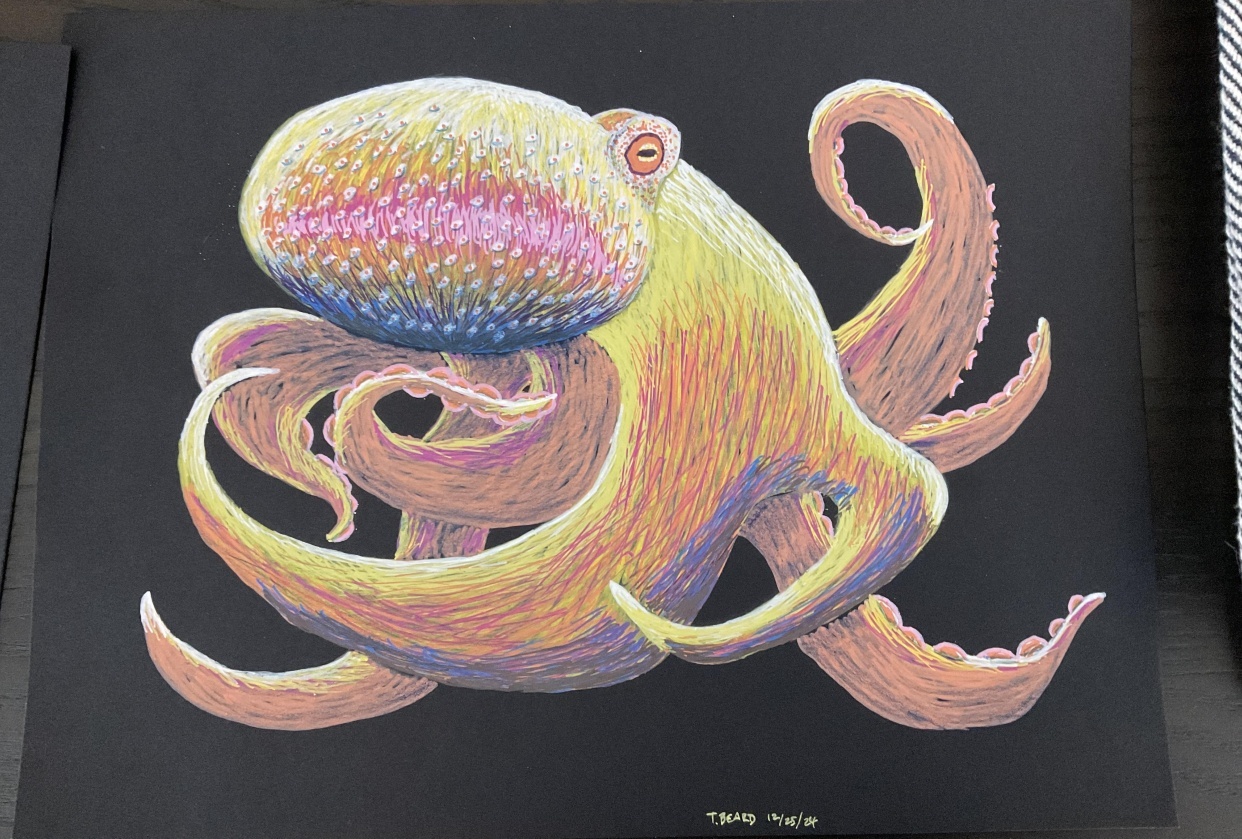 Octopus - student project