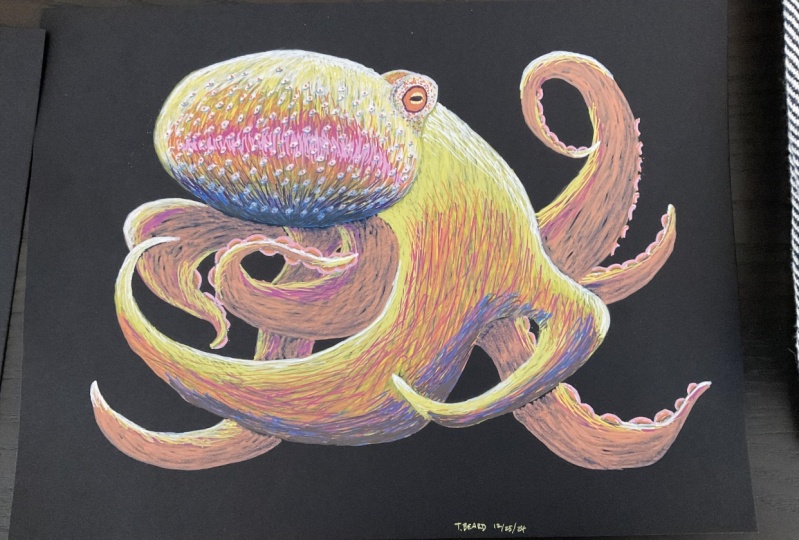 Octopus