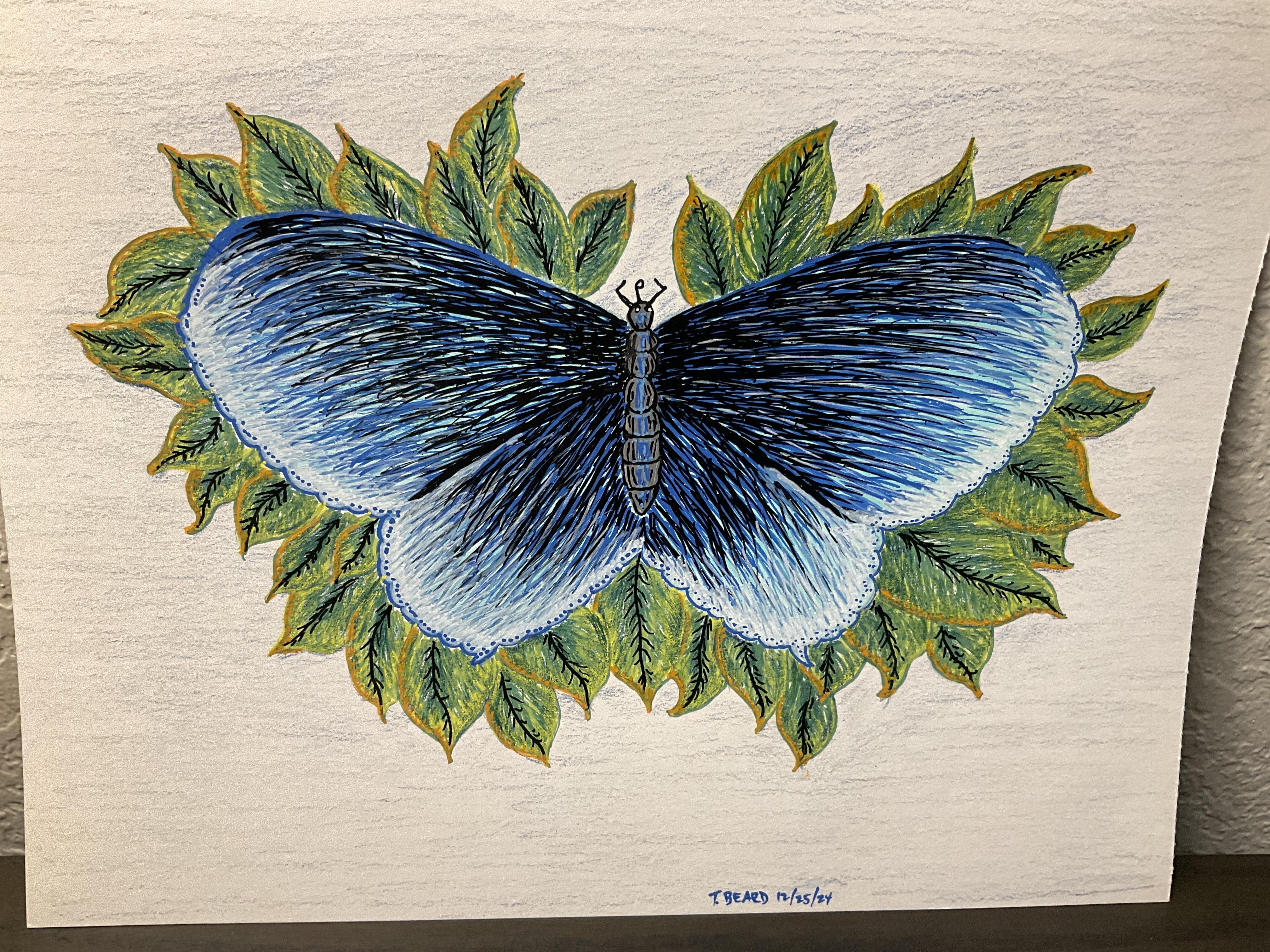 First butterfly - student project