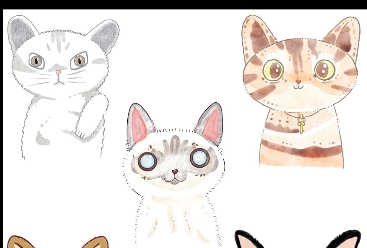 Como desenhar o retrato de um gato em estilo desenho animado | Ecky O |  Skillshare, image size:1242x839