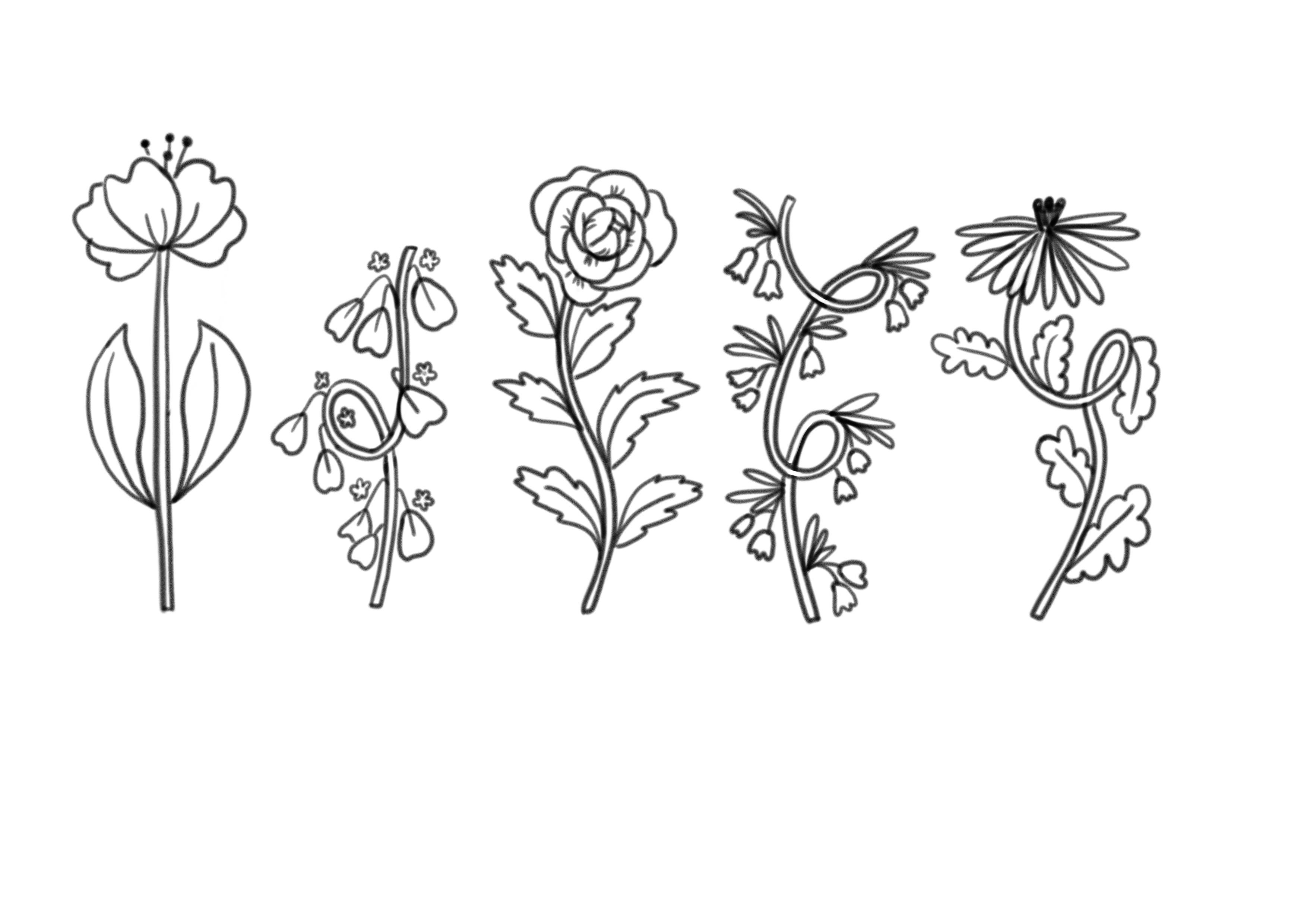 more-projects-from-class-img